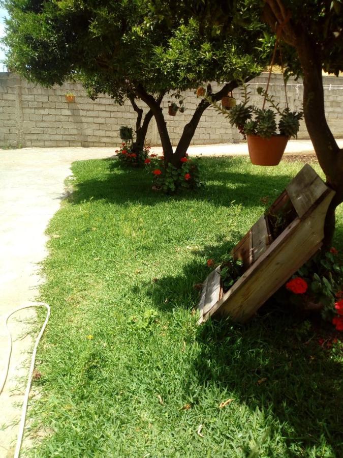 B&B Villa Del Sole Джиццерія Екстер'єр фото