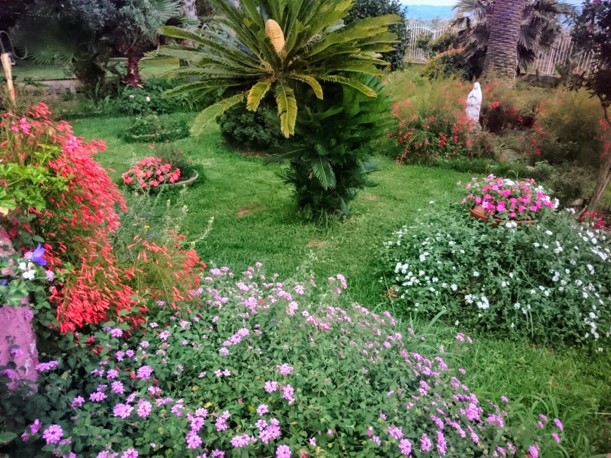 B&B Villa Del Sole Джиццерія Екстер'єр фото